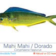 Dorado / Mahi Mahi